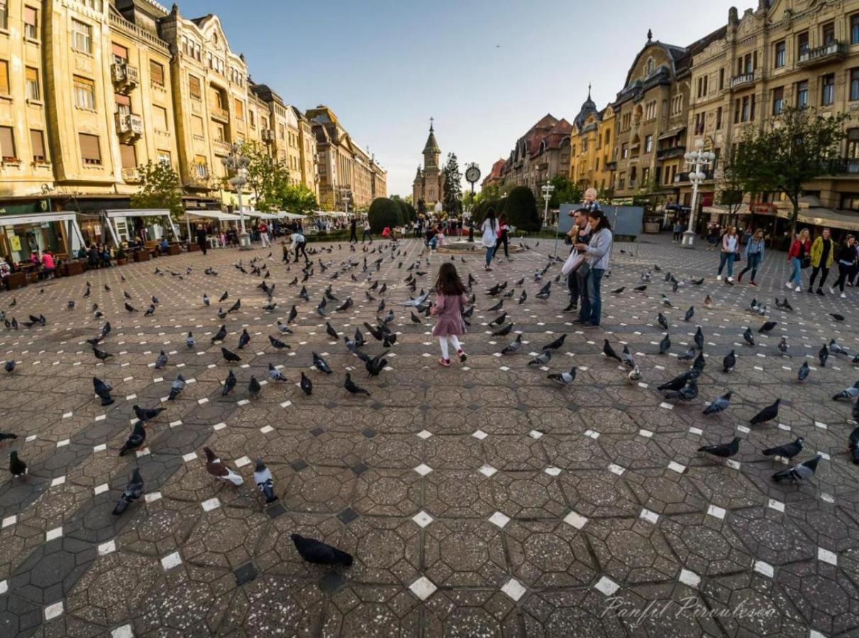 Premium Timisoara Apartman Kültér fotó